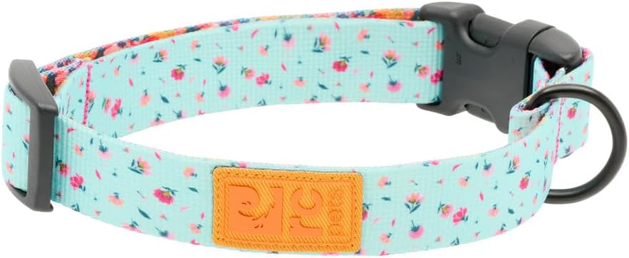 RC Pets Eco Clip Collar, 1-Inch
