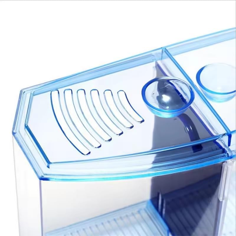 EatingBiting Large Double Compartment Fighting Fish Box Eco Rumble