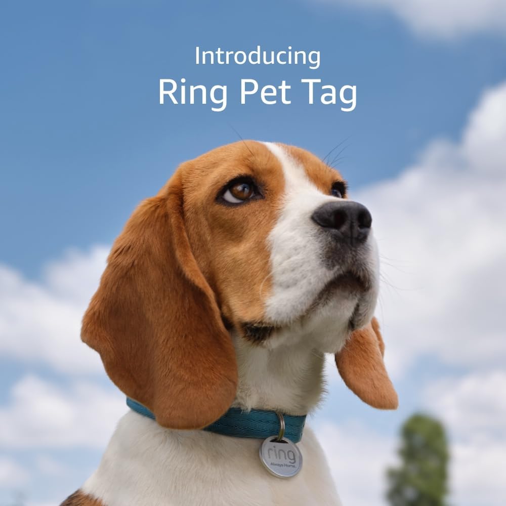 Ring Pet Tag | Easy-to-use tag with QR code | Real-time scan alerts
