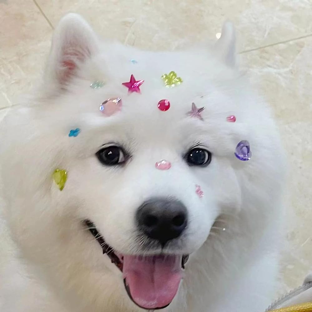 10 Sheets Pet Grooming Decorative Hair Diamond Sticker