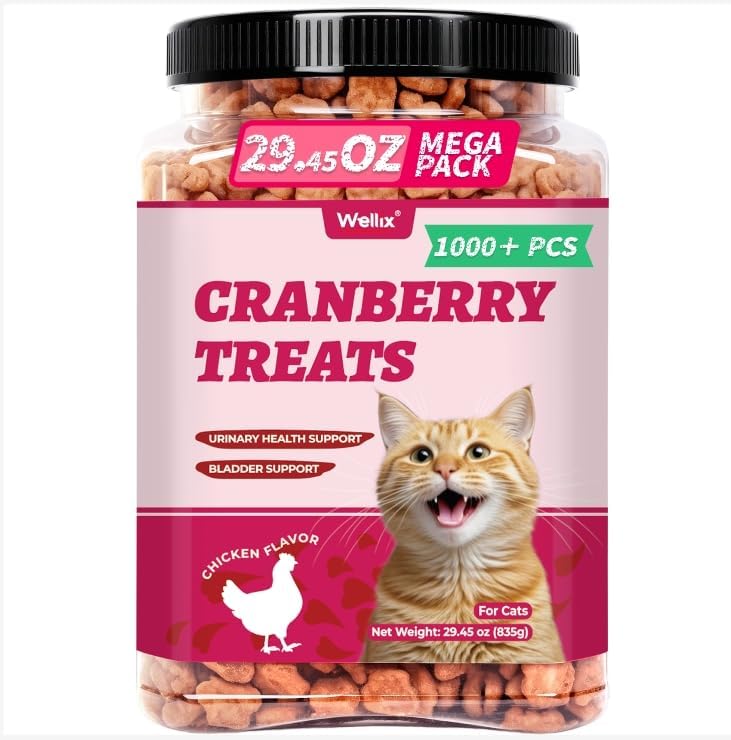 Wellix 13.05 oz Catnip Treats for Cats for Digestive Support