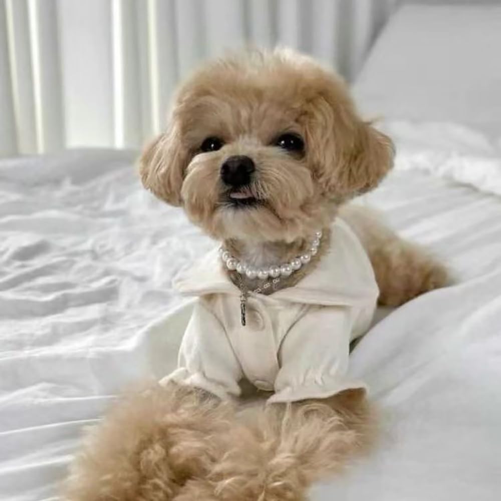 Cat Pearl Necklace, Small Dog Teddy Necklace Jewelry Chihuahua York