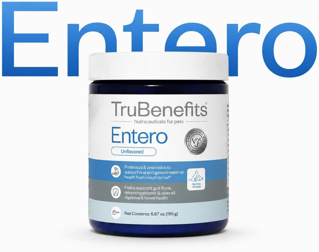Entero, Prebiotics & Probiotics, 8.89 oz, Unflavored