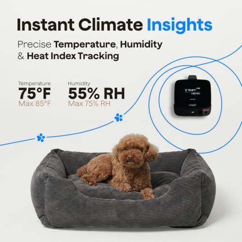 Waggle 4G LTE Pet Monitor Lite + RV Mini Camera