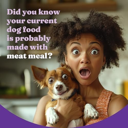 Halo Holistic Dry Dog Food, Vegan Plant-Based Recipe, Superfoods