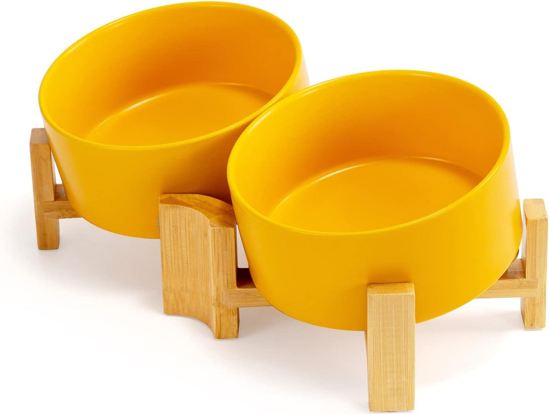 SPUNKYJUNKY 15° Slanted Ceramic Dog and Cat Bowl with Wooden Stand