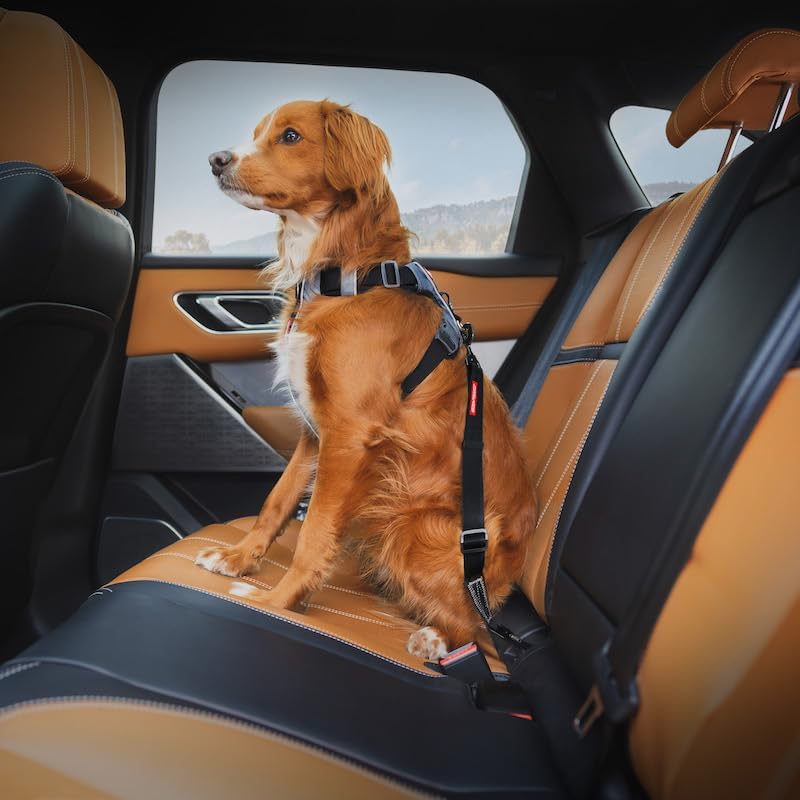 EzyDog Click - Dog Seat Belt Car Restraint - 17in - 26in
