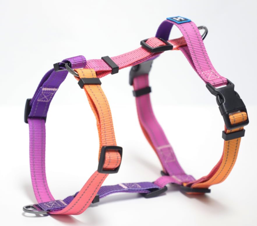 Roses&Poetry Dog Harness with Leash, No Pull Adjustable Harness Leash