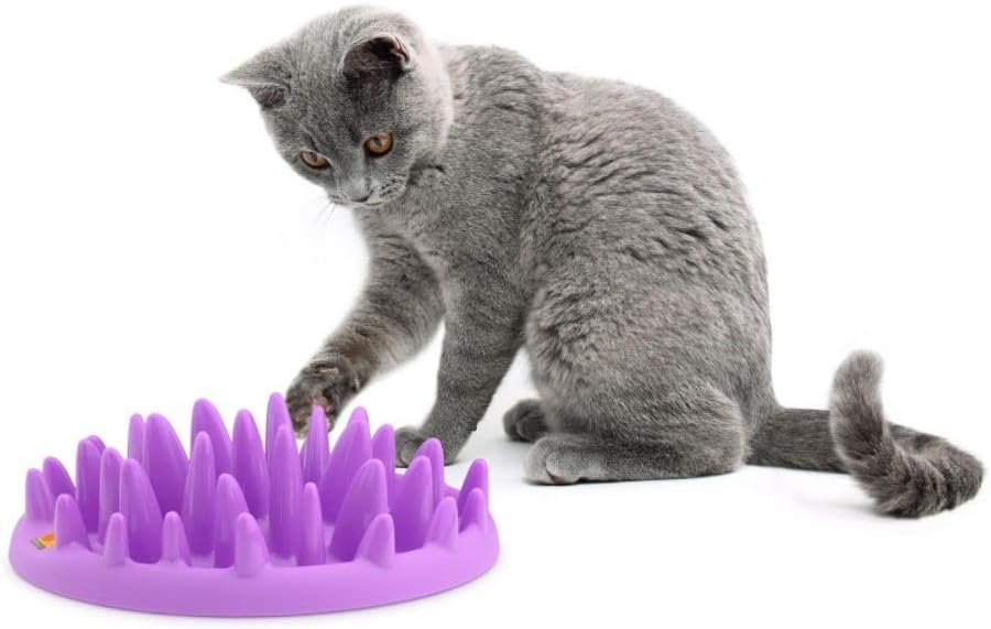 Company of Animals Catch Interactive Cat Slow Feeder