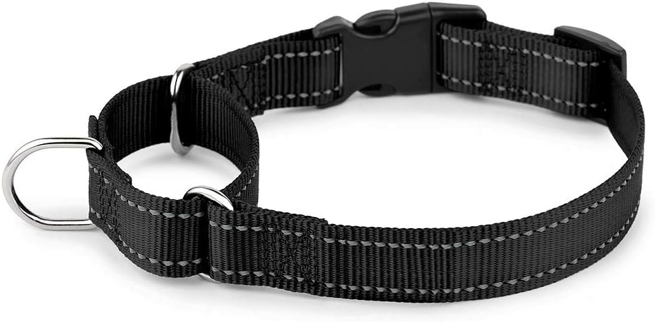 PLUTUS PET Reflective Martingale Collar with Quick Snap Buckle,No