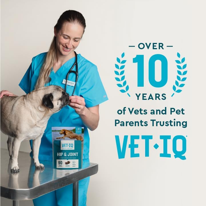 VetIQ Advanced Hip & Joint Chews For Dogs, 60 Count