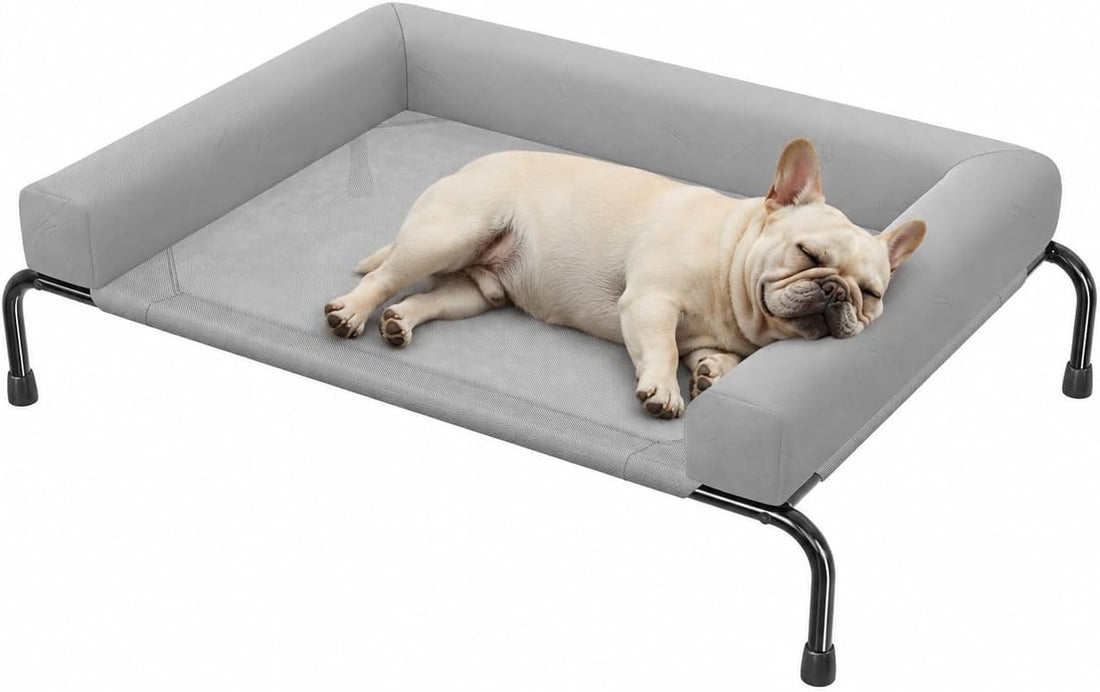 Simple Trending Elevated Dog Bed for Large Dogs with Bolsters