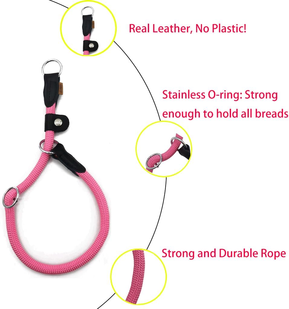 Braided Round Martingale Dog Collar