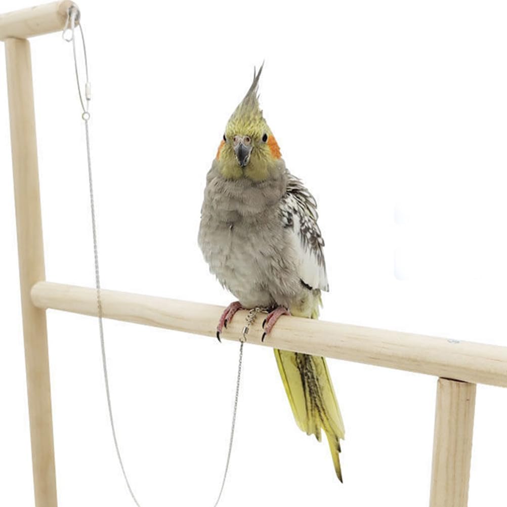 1Pc Bird Foot Chain Flying Stainless Steel Training Rope Outdoor