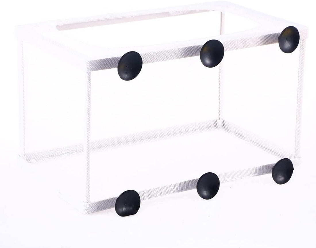 balacoo Fish Breeding Hatchery Net Fish Isolation Box