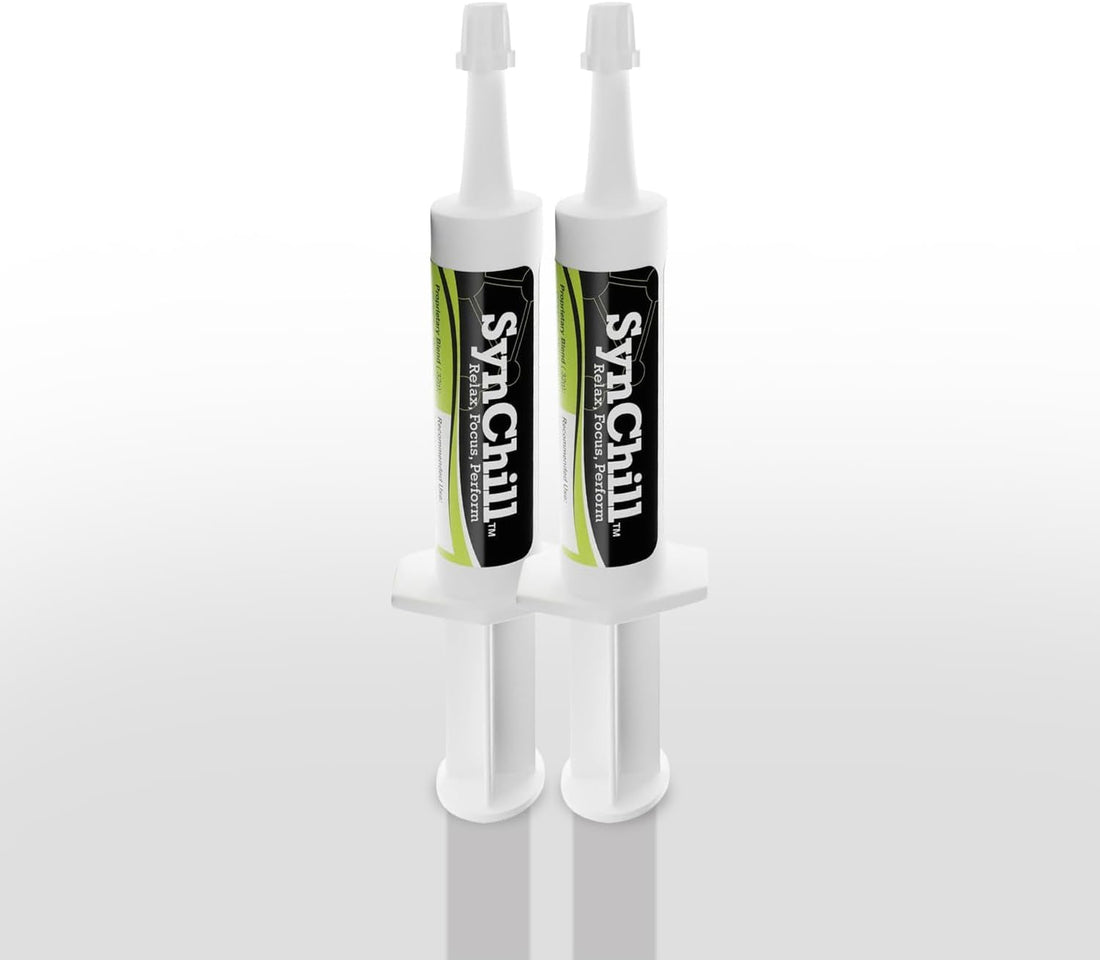 SynChill Horse Calming Supplement Gel, 3 Pack | Composure & Focus