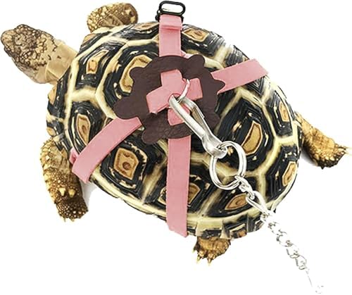 Adjustable Harness & Leash Set Strap for Turtles Small Pet Leash