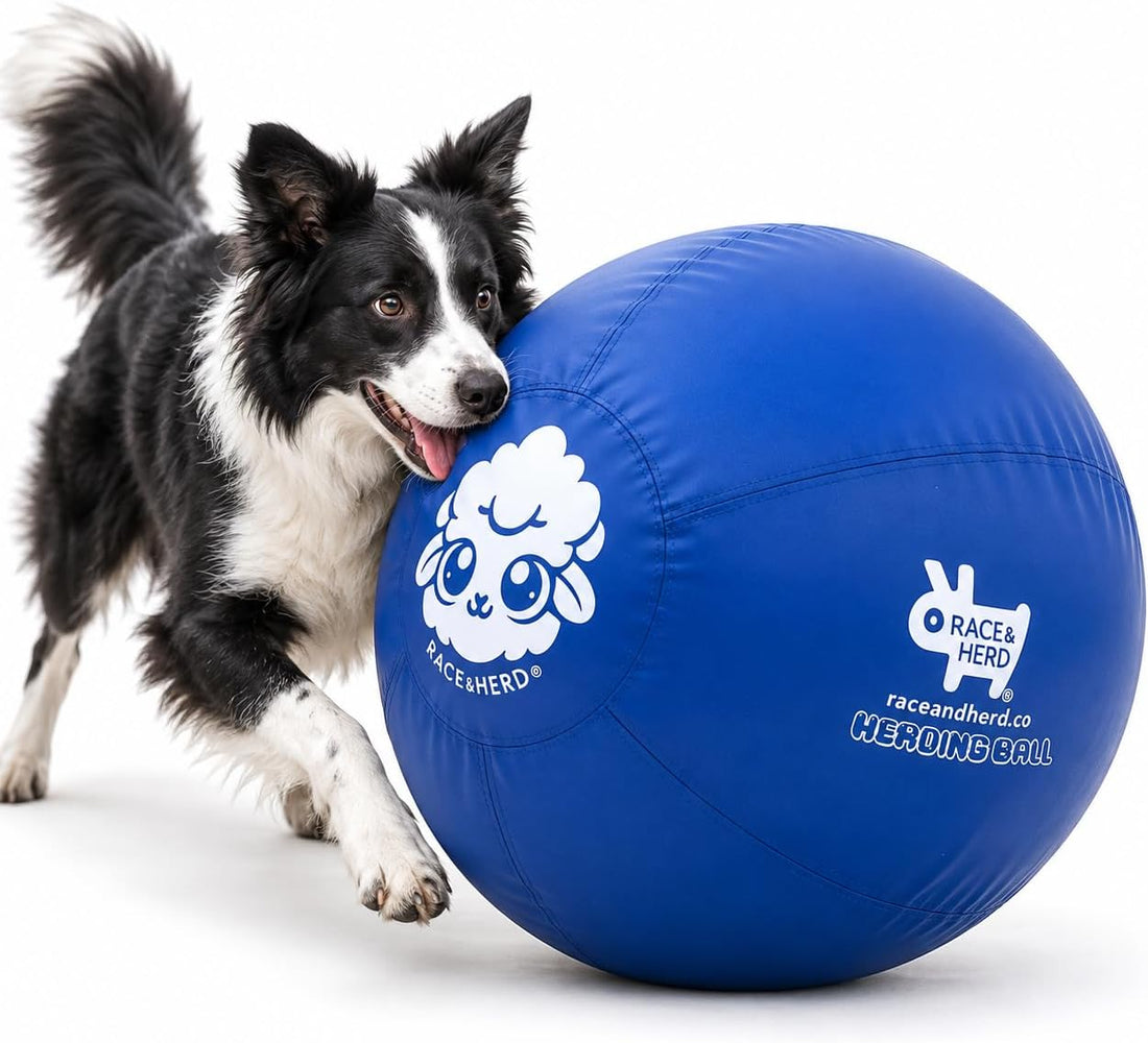Race&Herd 25" Original Herding Ball — Cover, Inner Ball & Pump (Ocean)