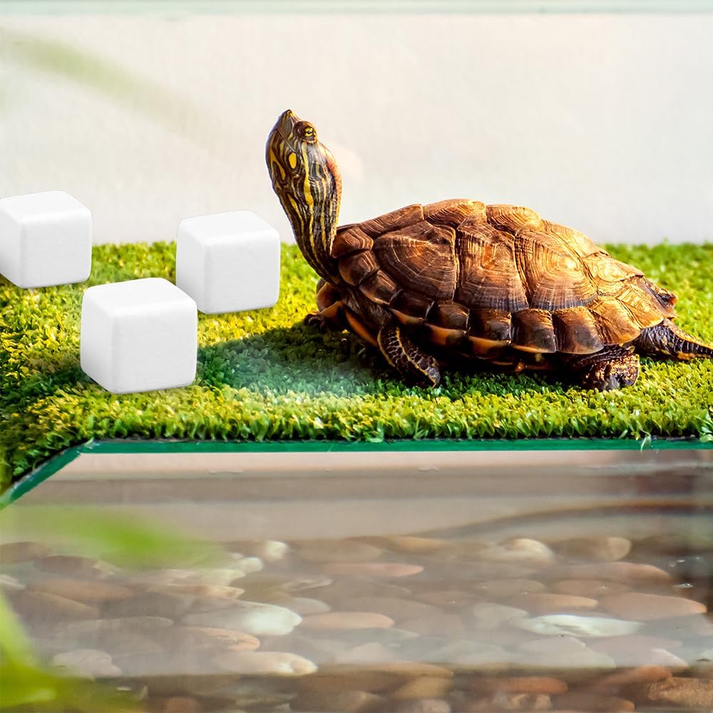 DQITJ 24 Pcs Reptile Calcium Stone Natural Calcium Mineral for Turtle