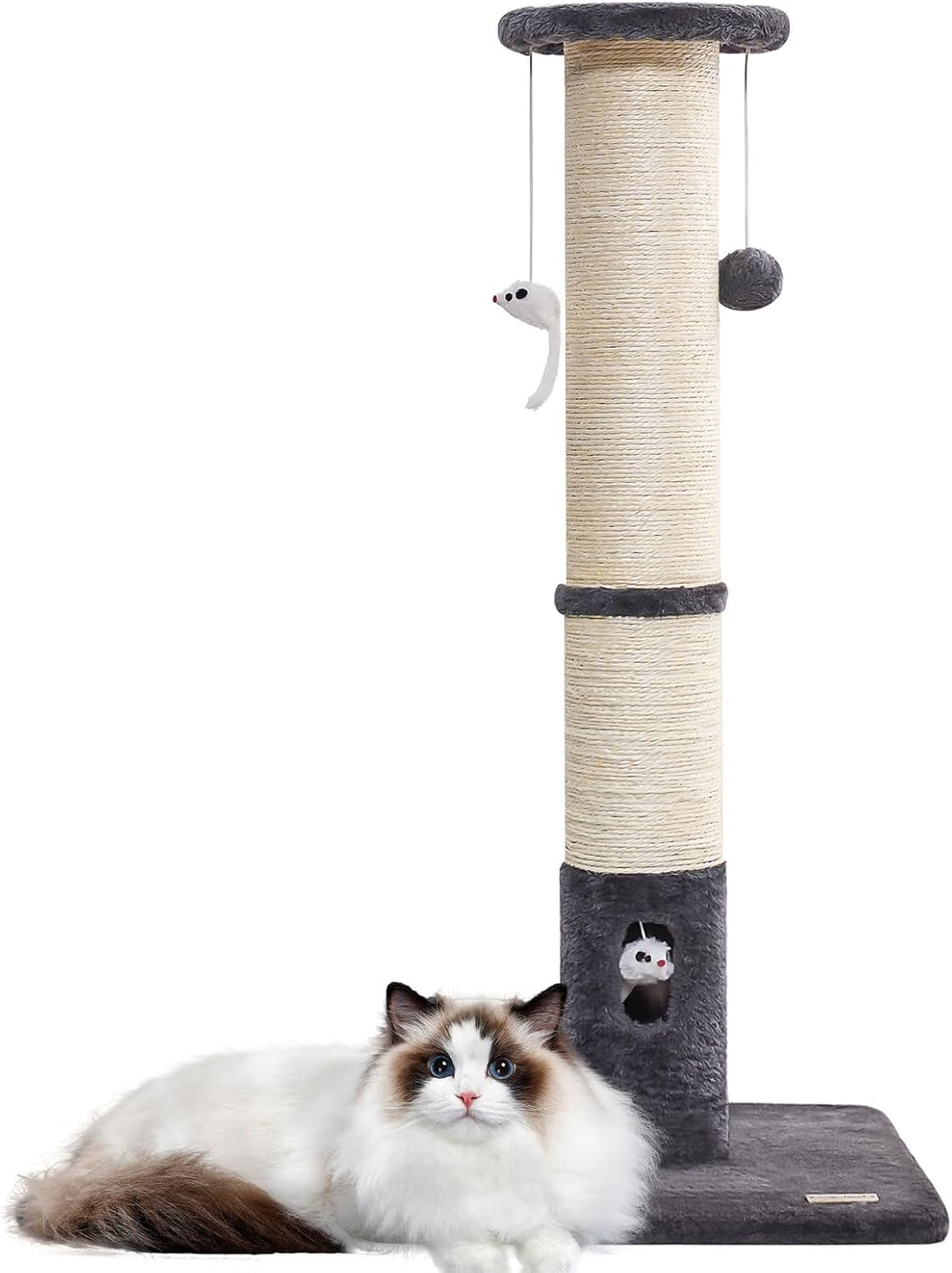 UWELLPETS 24" Tall Small Cat Tree Tower for Indoor Cats, Black