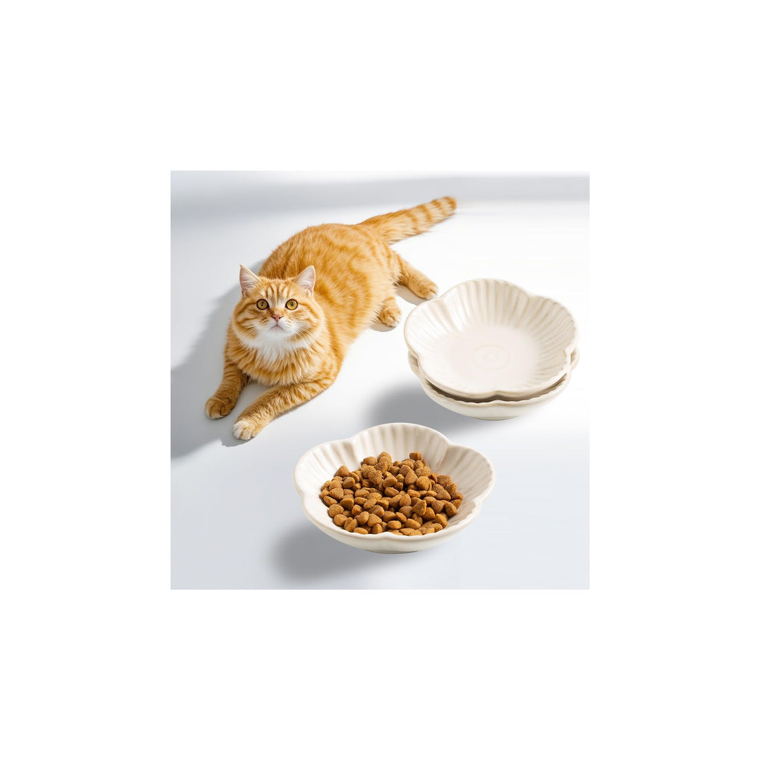 Cat Food Bowls, Ceramic Cat Plates, Dish for Food, Water and Snack