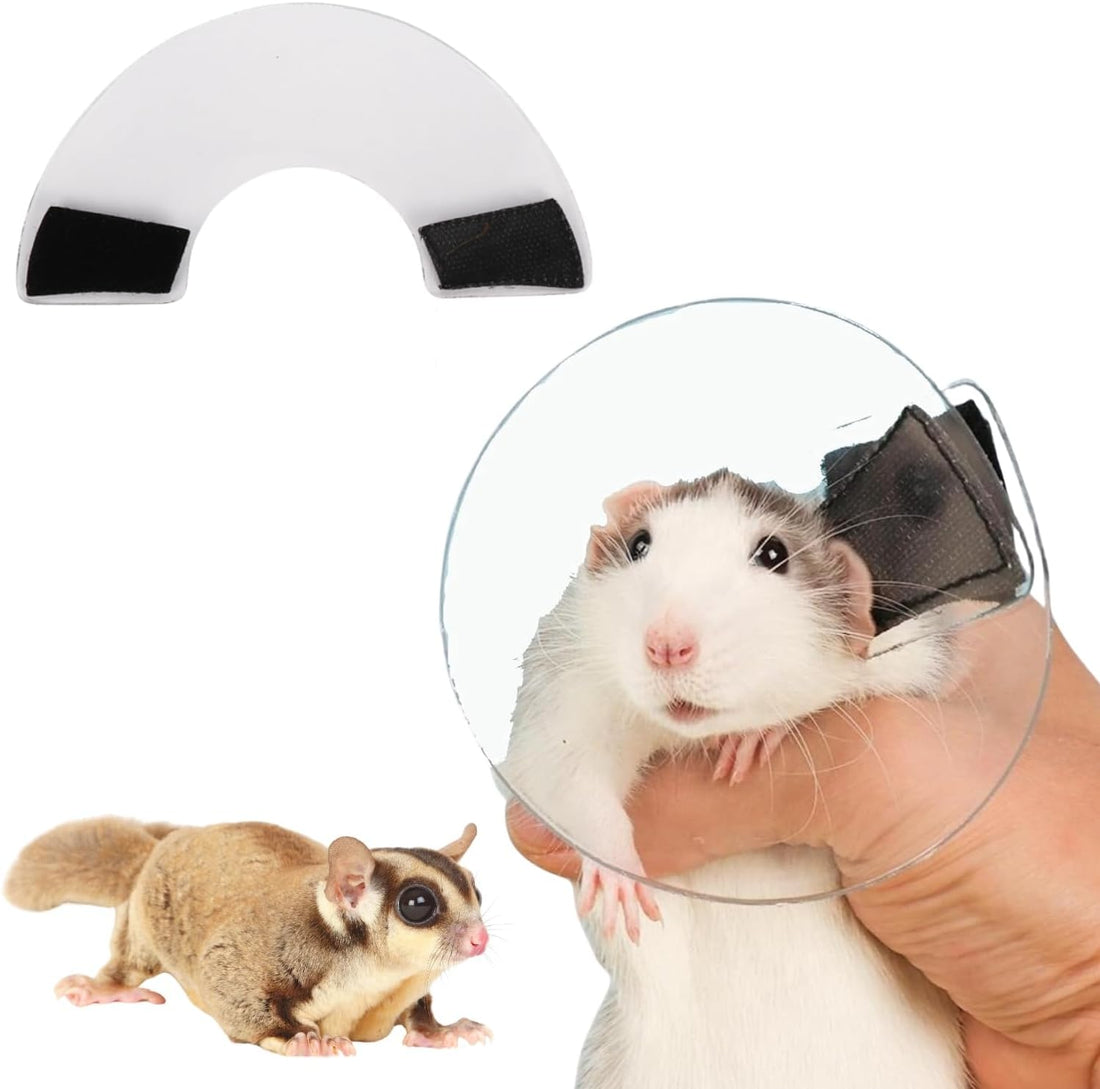 Sugar Glider Recovery Cone - Adjustable Protection Collar Soft