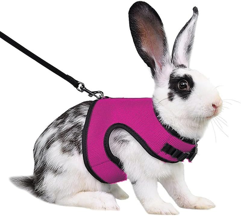Bunny Harness and Leash Escape Proof Soft Mesh Rabbit Leash