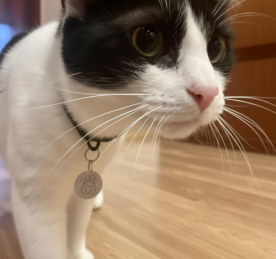 Compatible with Sureflap Surefeed Microchip RFID Collar Tags Disc Key