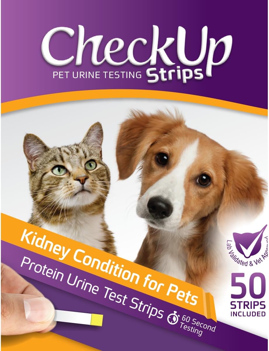 CheckUp Testing Strips x 50