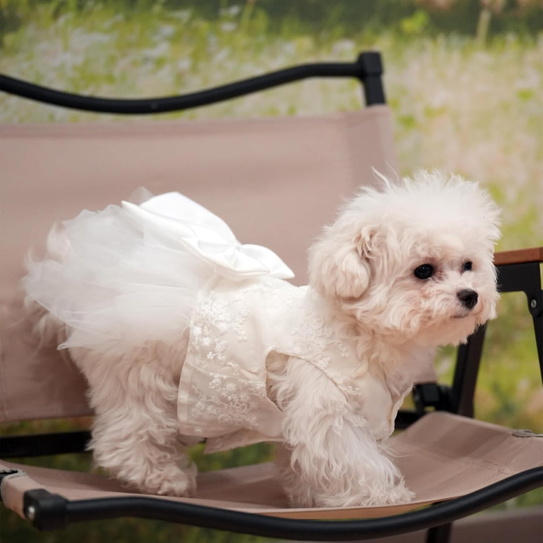 Dog Dress,Pet Wedding Dress Princess Formal Tutu Skirt