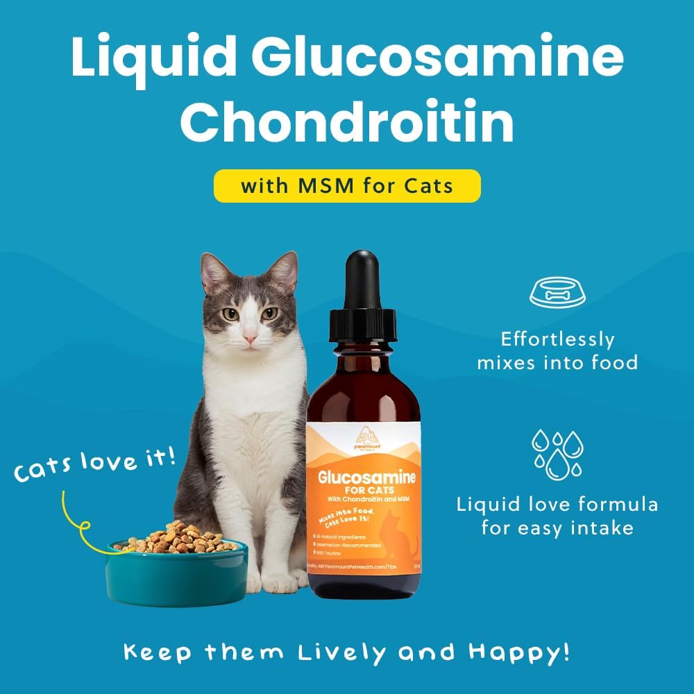 Paramount Pet Health Liquid Glucosamine Chondroitin MSM for Cats