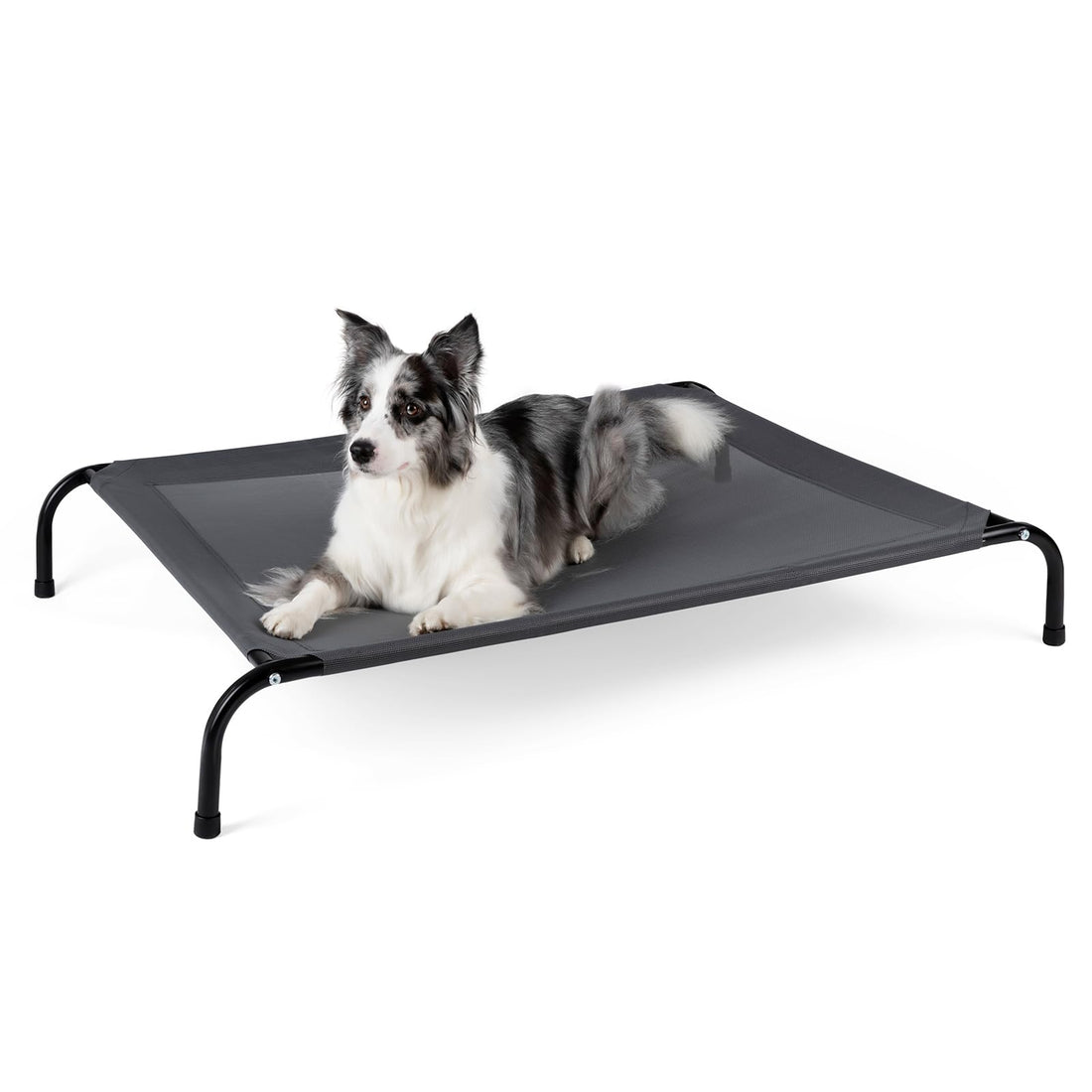 SIEMOUR 50" Lx32 Wx8 H Cooling Elevated Dog Bed for Large Dogs