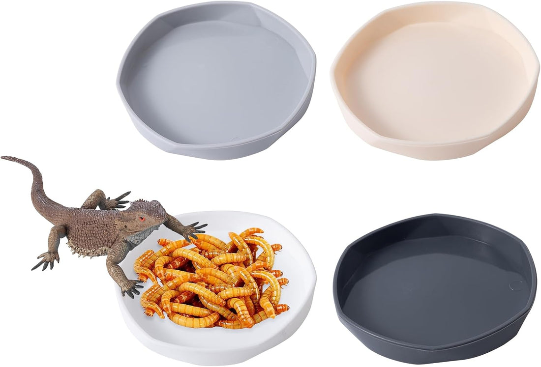 COMSUN 4 Pack Small Reptile Food Dish Bowl
