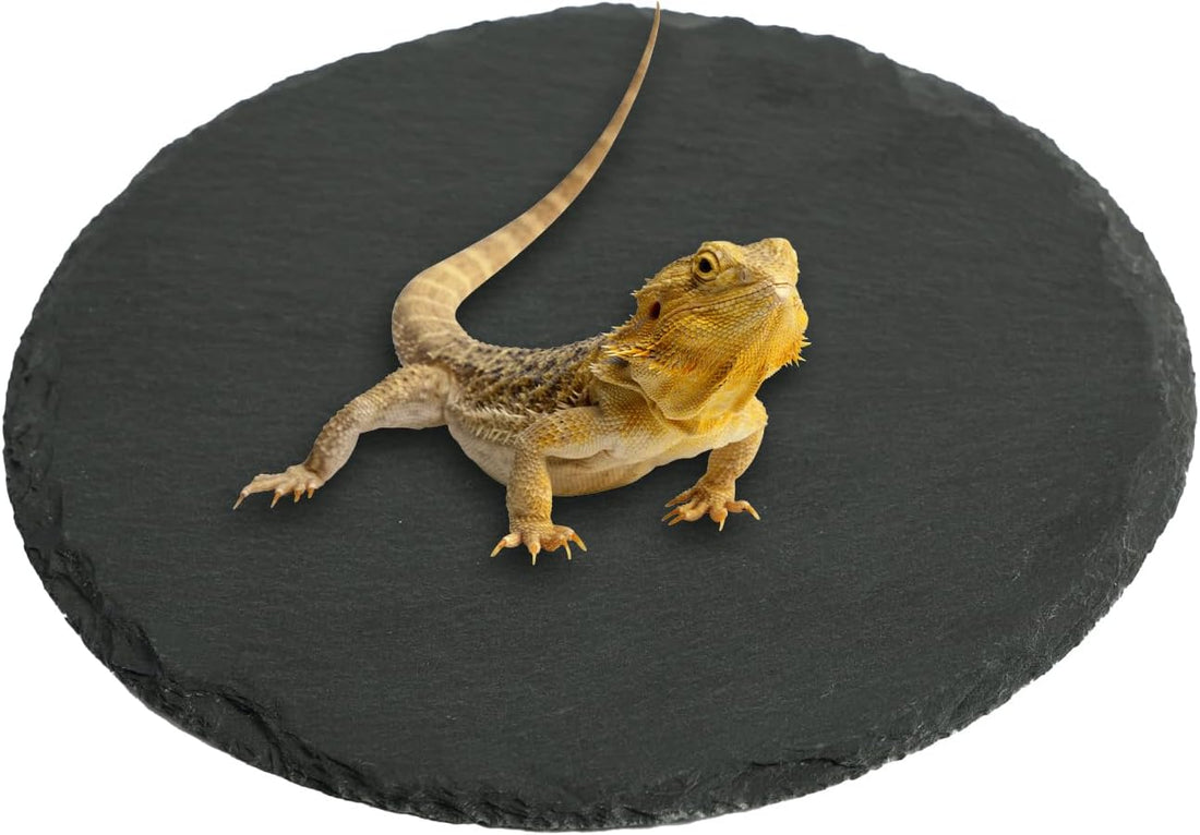 Reptile Tortoise Basking Slate Rocks Habitat Tiles Platform