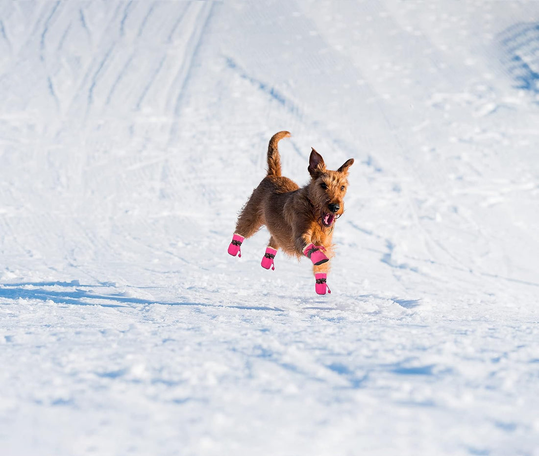 YAODHAOD Dog Shoes for Winter, Dog Snow Boots & Paw Protectors Black 3