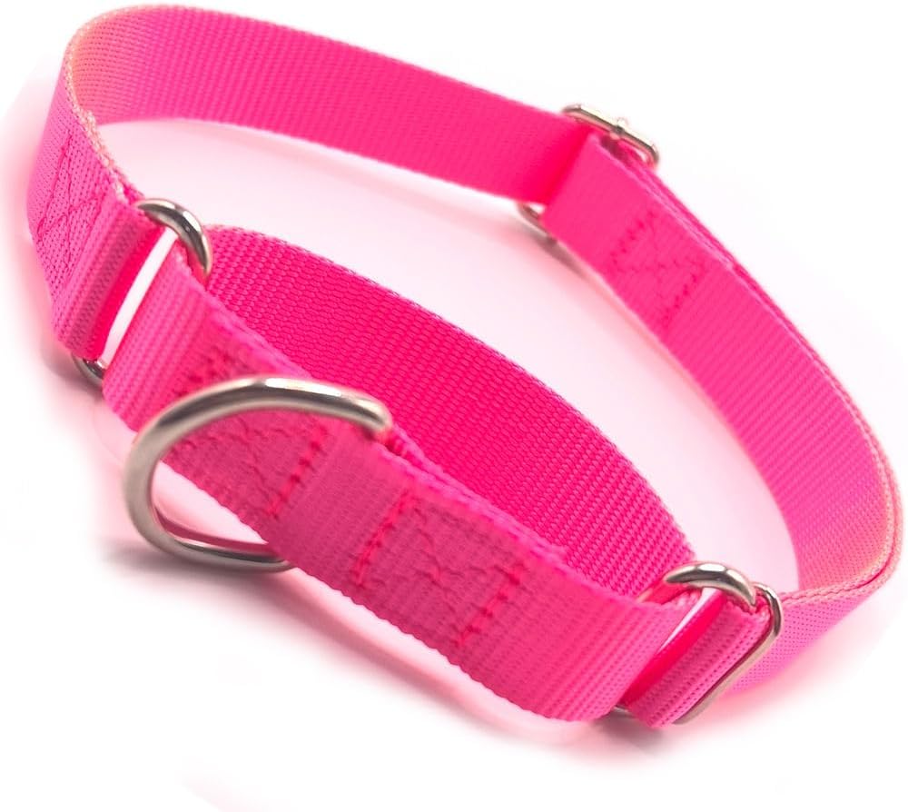 Martingale Dog Collars for Medium Dogs, No Pull Dog Choker Collar