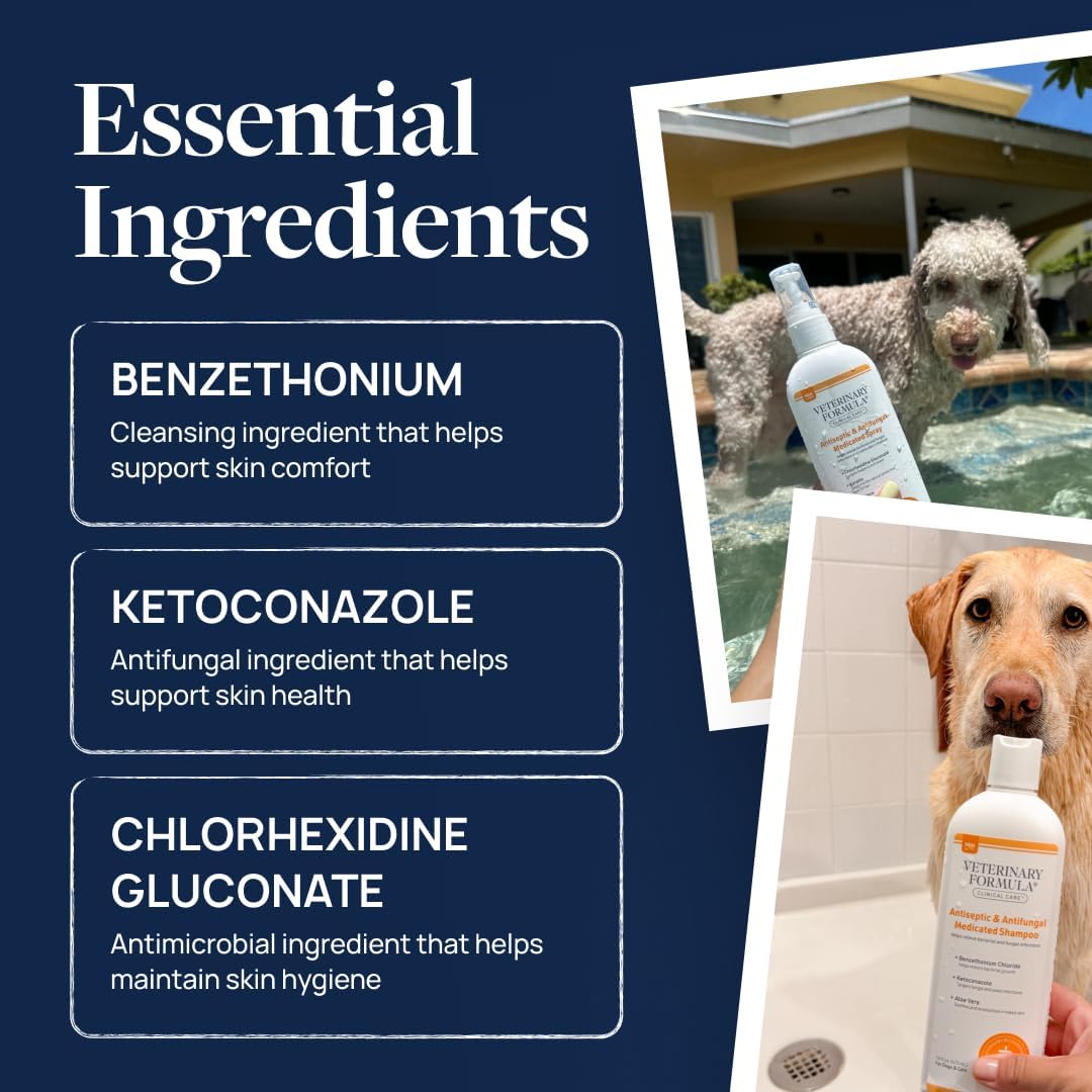 Veterinary Formula Clinical Care Antiseptic & Antifungal Shampoo +