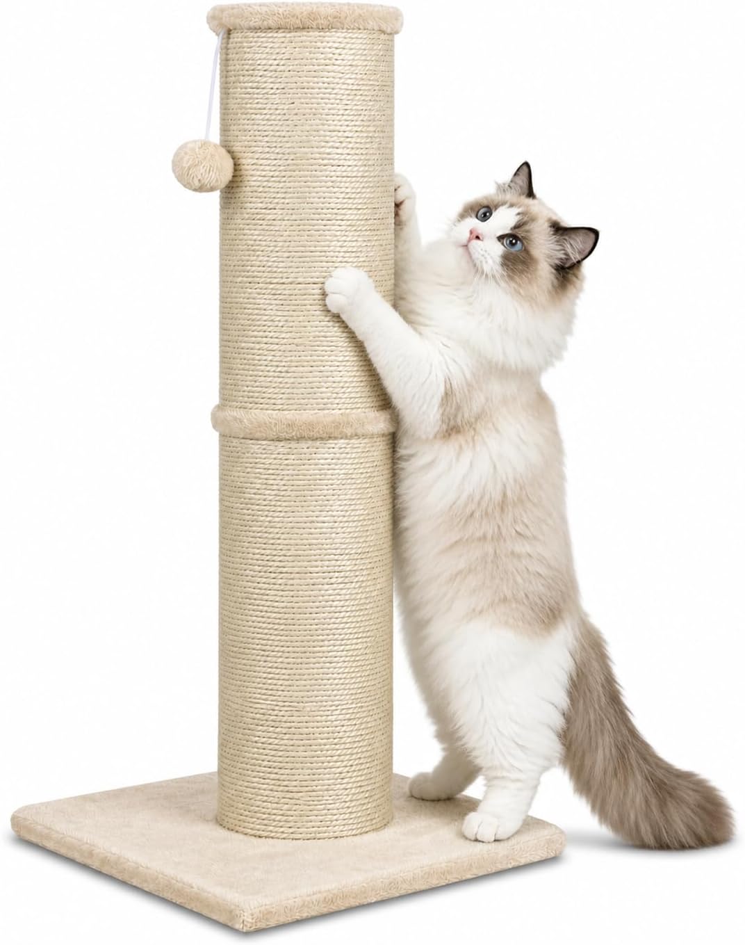Cat Scratching Post with 5.5 Inch Diameter Sisal Post, 32 Inch