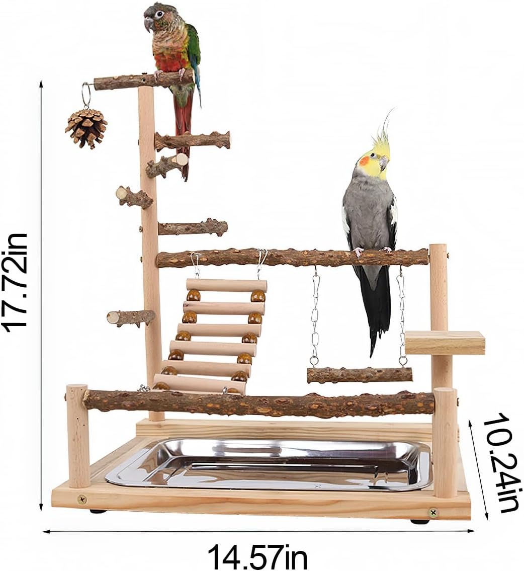 Bird Playground, Parrot Perch Stand