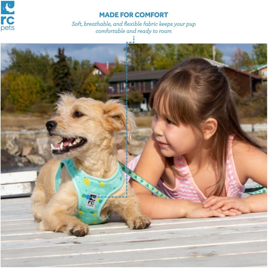 RC Pets Step in Cirque Harness M Mulberry