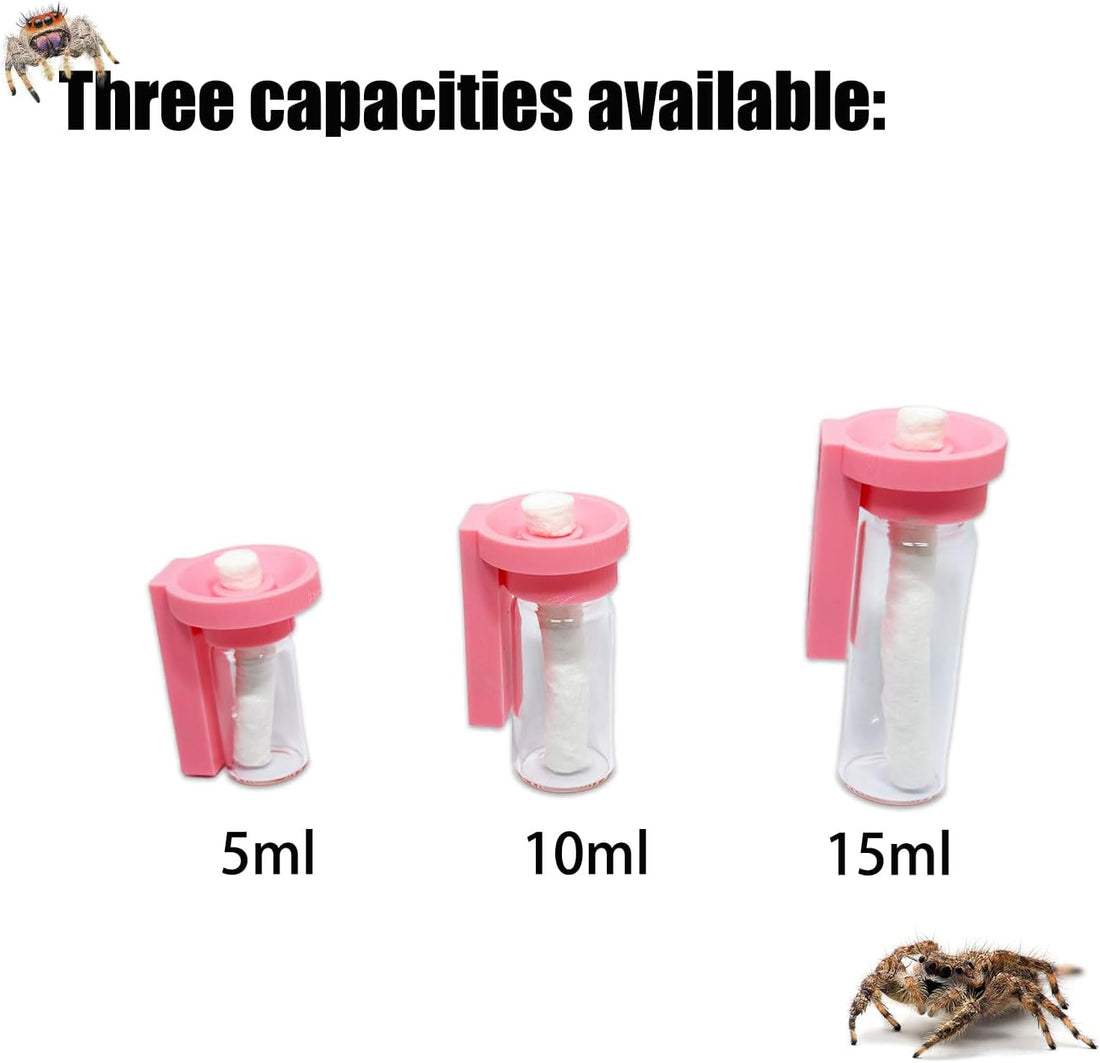 Jumping Spider Water Dispenser
