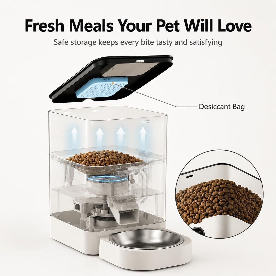 Automatic Cat Feeder with APP