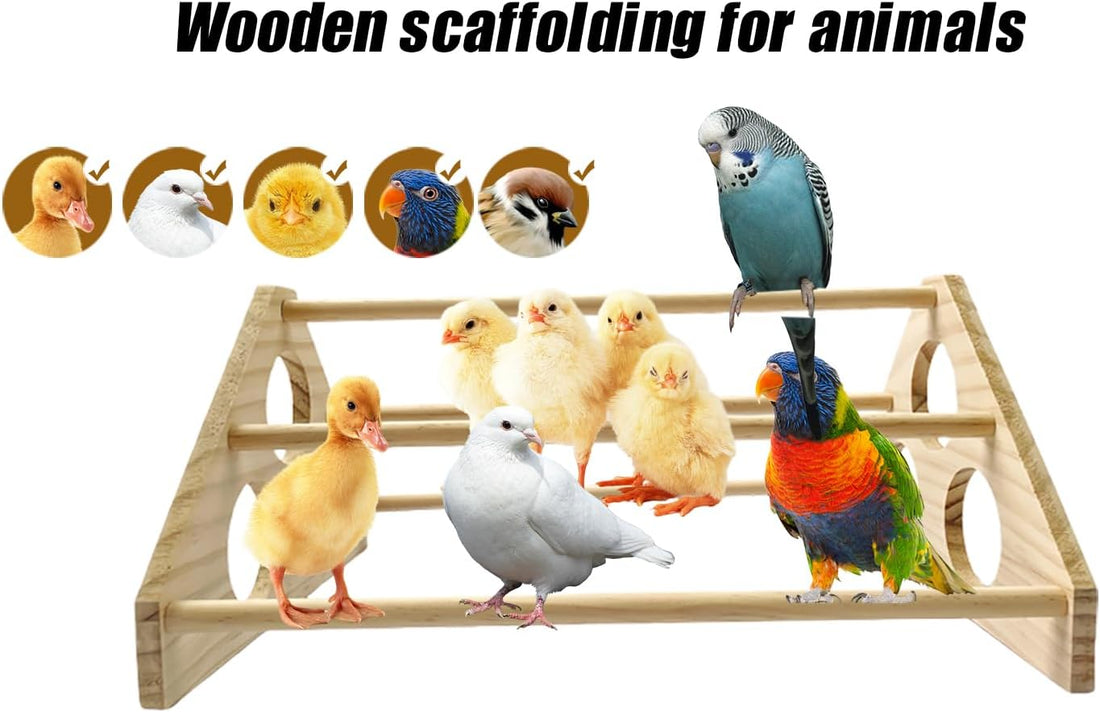Large Wooden Pine Chick Perch Roosting Bar for Baby Chicks Brooder