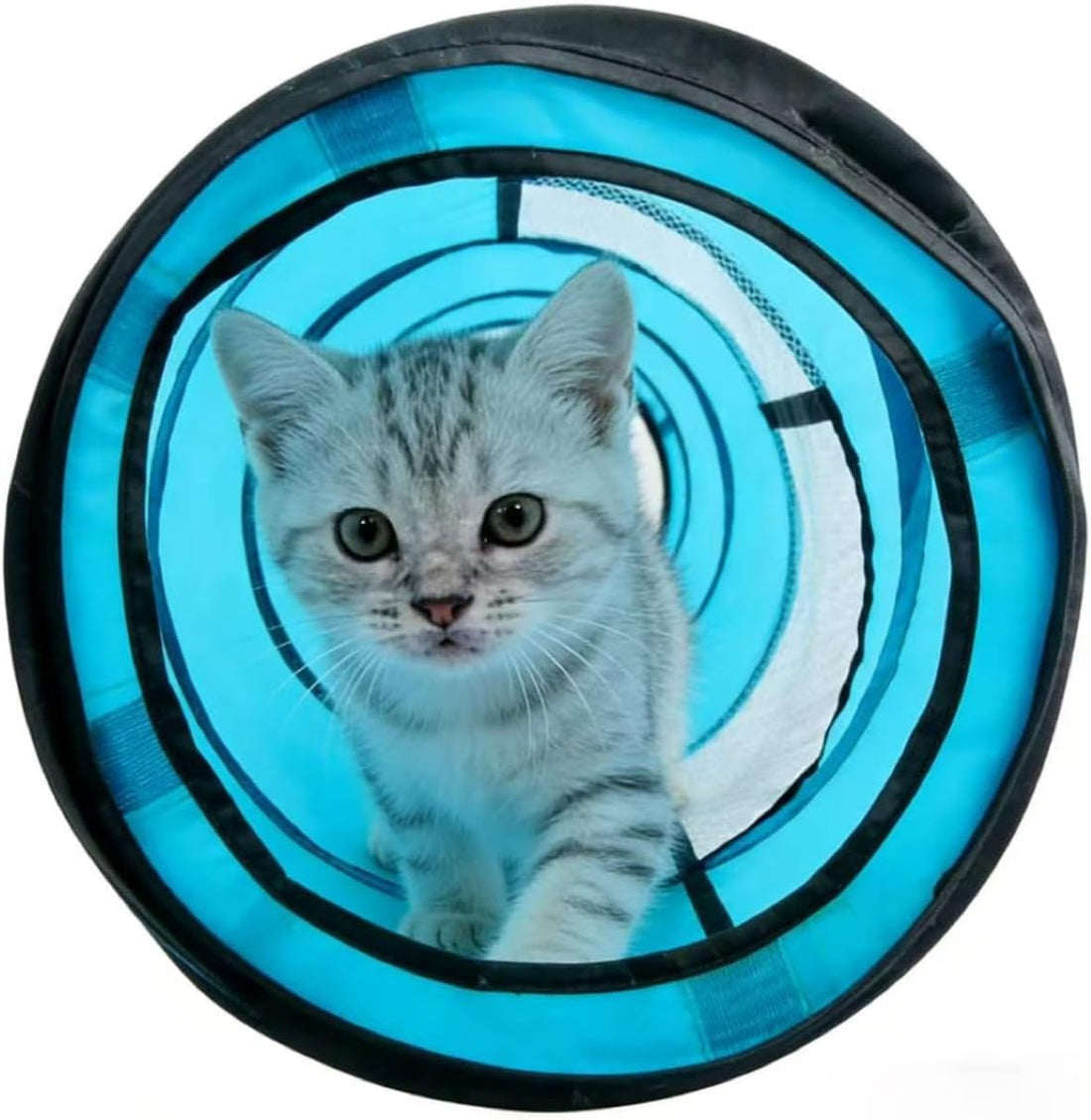 PAWISE Outdoor Cat Enclosure