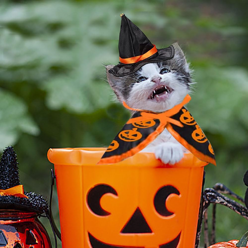 Halloween Cat Costume Cloak Witch Hat Pet Accessories Halloween