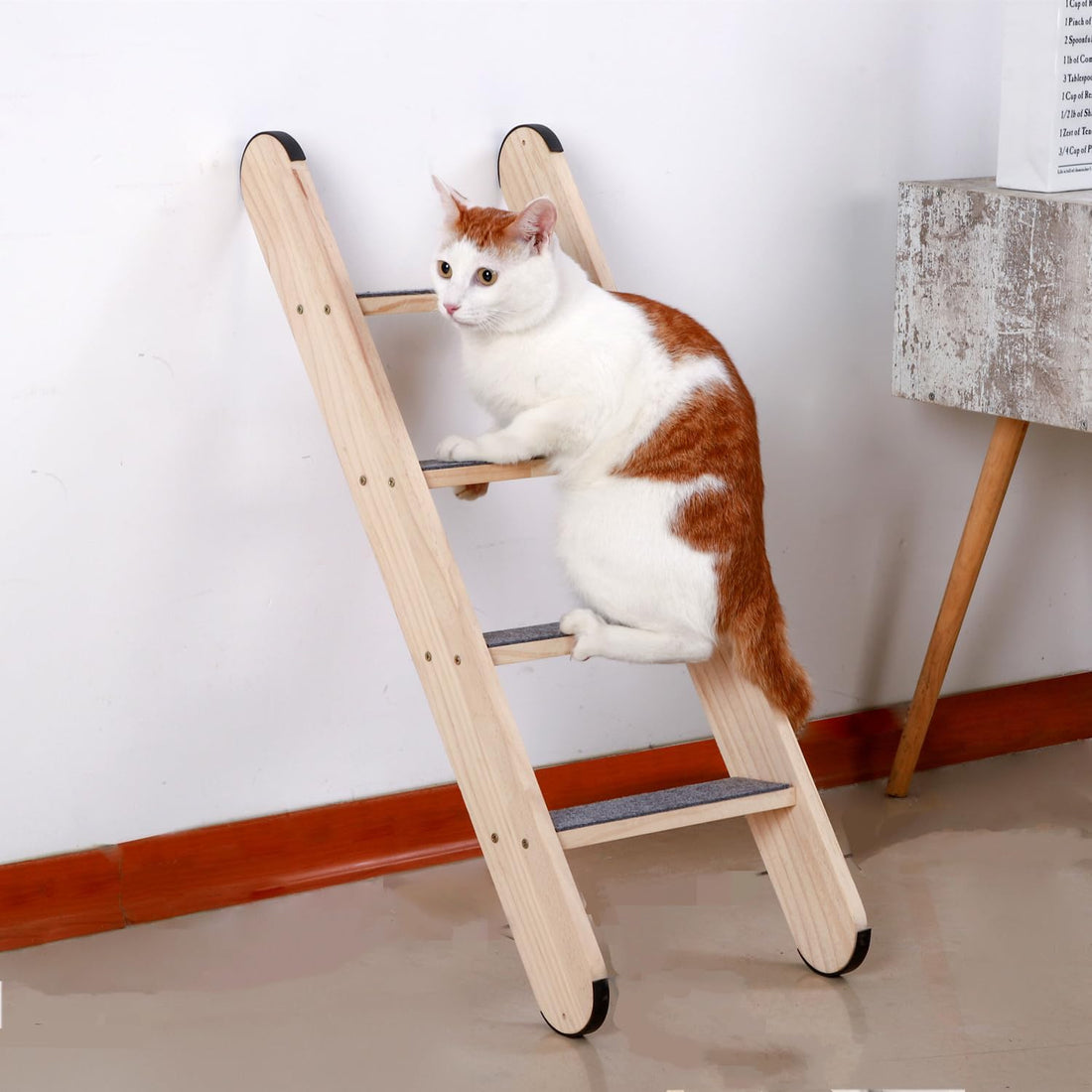 SHENGOCASE Solid Wood Wall Leaning Cat Ladder for Indoor Cats