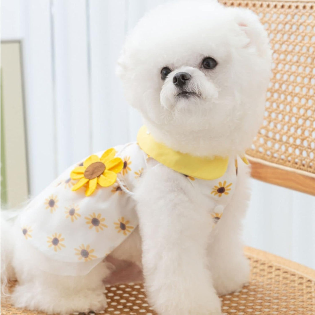 Dog Dress Soft Breathable Puppy Dresses Elegant Princess Lace Floral