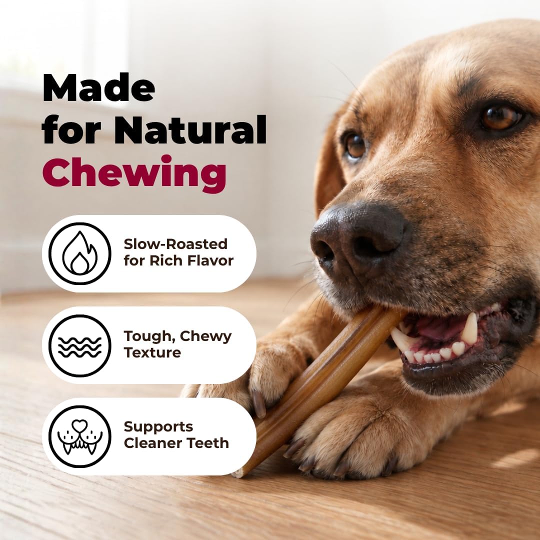 GigaBite Bully Sticks for Dogs All Natural Beef Pizzle Dog Chews