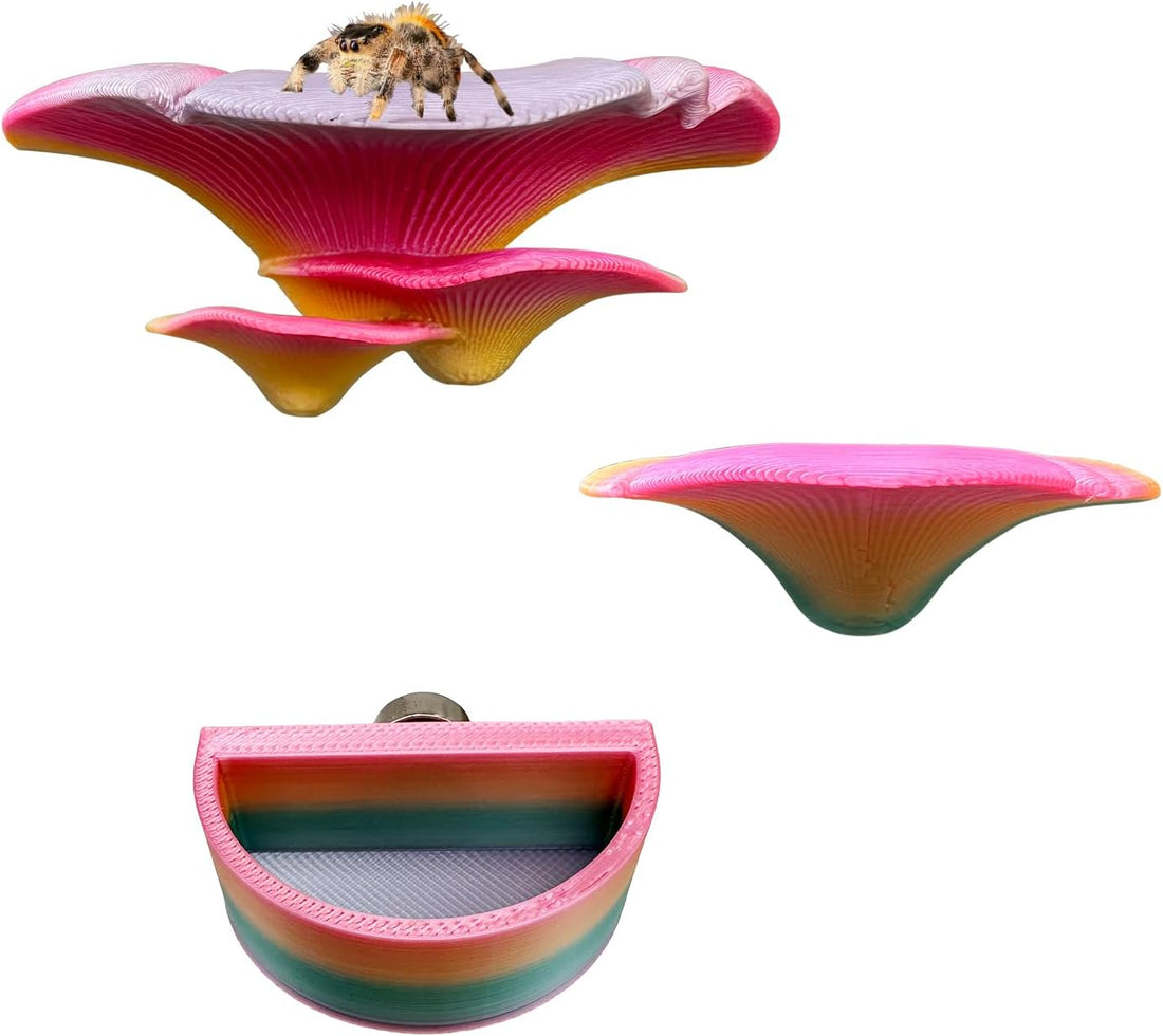 2 Pack Jumping Spider Accessories Mushroom Ledges & 1 Pack Water Bowl