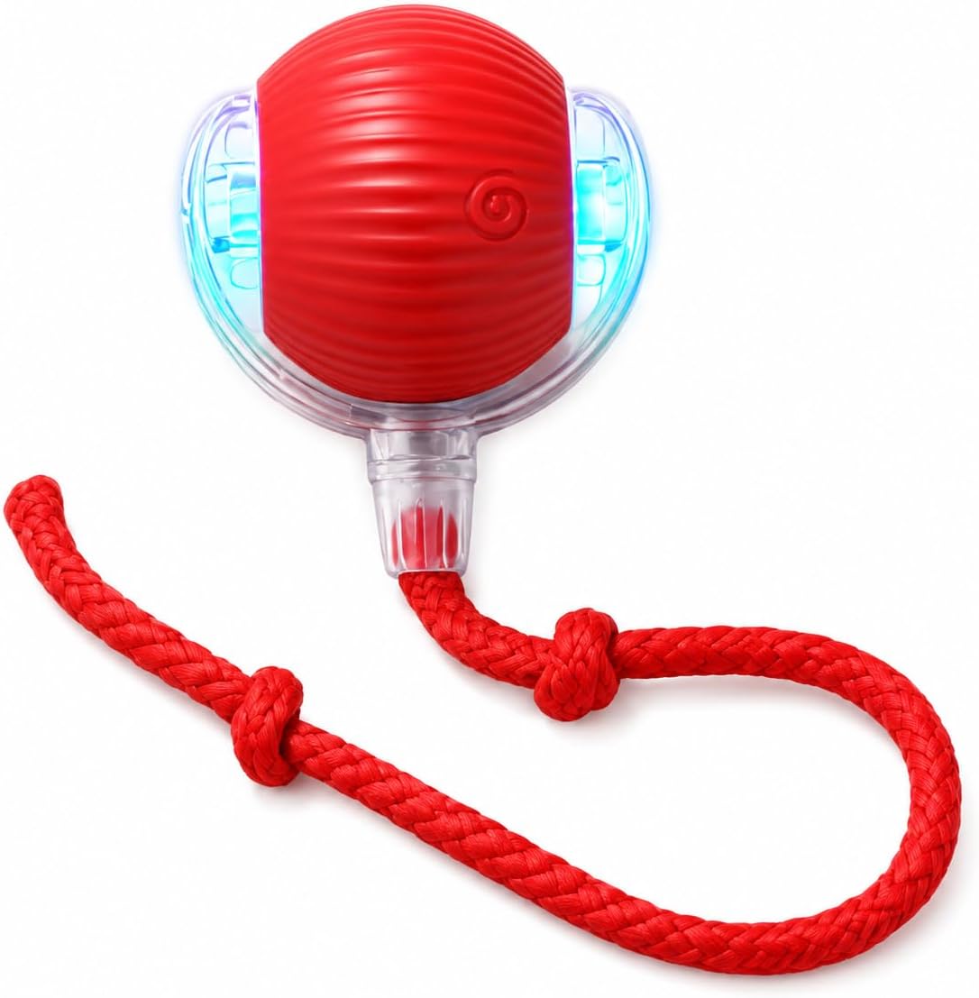 Rcxnm Interactive Cat Ball Toy with String